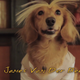 Illustration for article titled Here’s iDawson’s Creek /ireenacted by Dachshunds